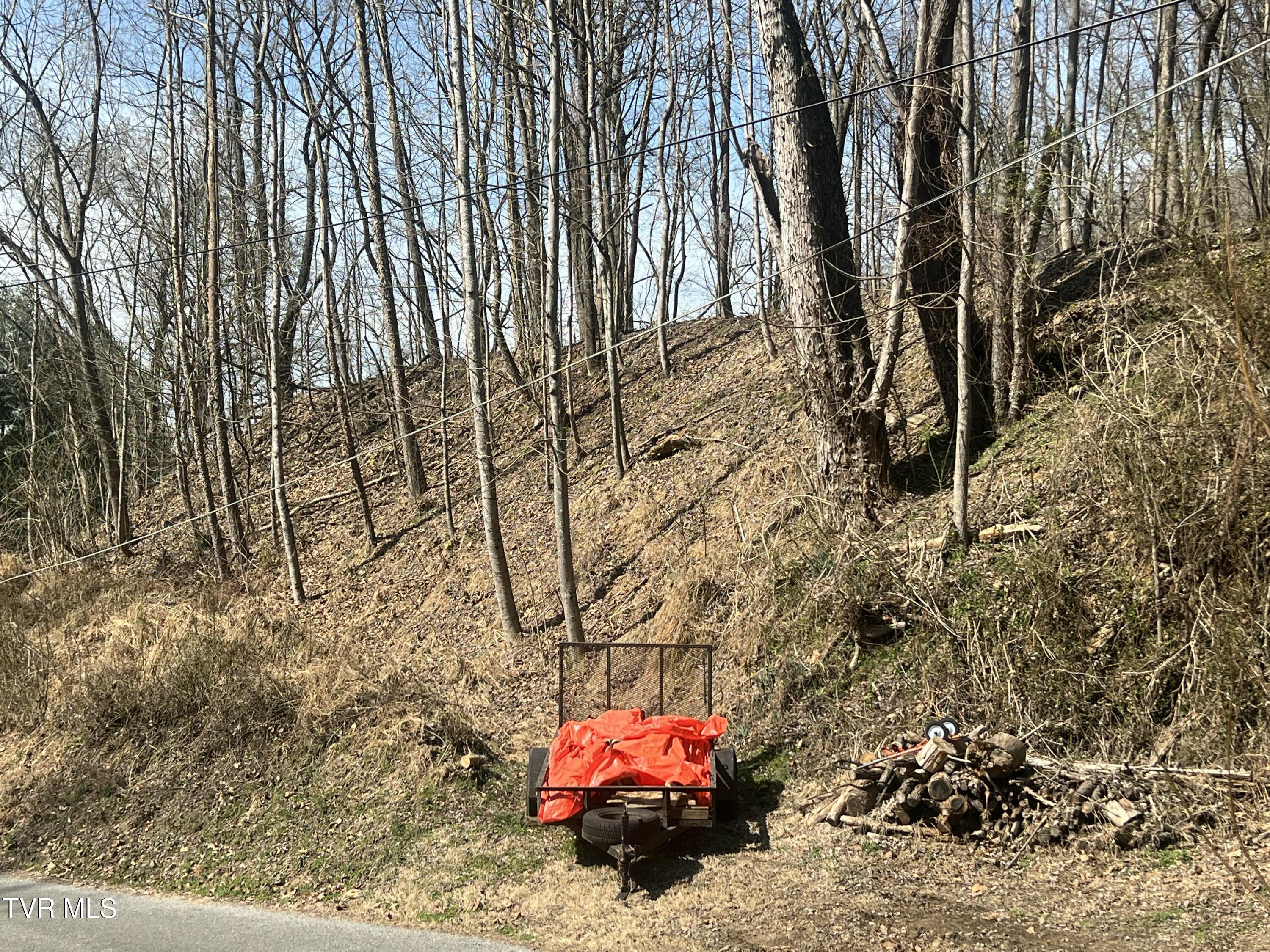 117 Icy Lane, Elizabethton, Tennessee image 3