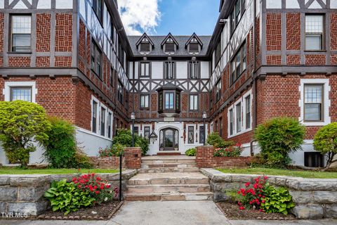 Photo of 701 Locust Street #Apt 34, Johnson City, TN 37604 (MLS # 9995703)