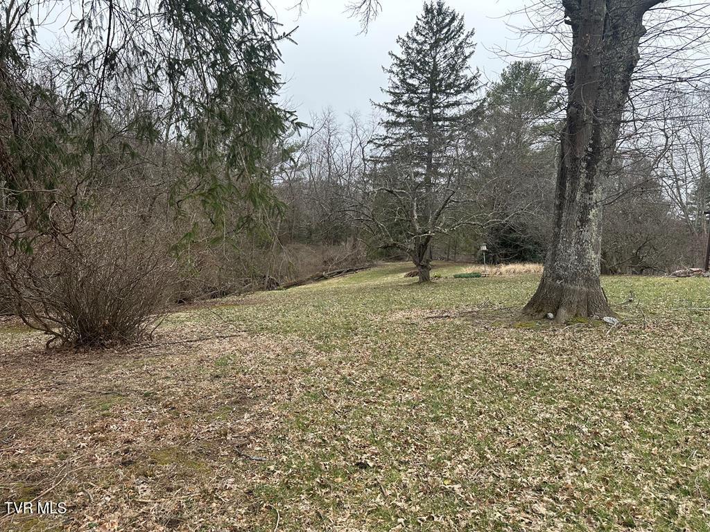 279 Alfalfa Field, Cedar Bluff, Virginia image 50