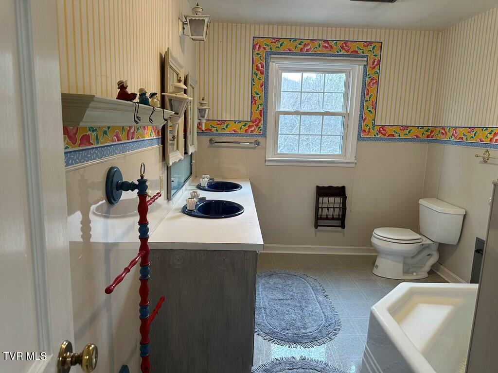 279 Alfalfa Field, Cedar Bluff, Virginia image 39