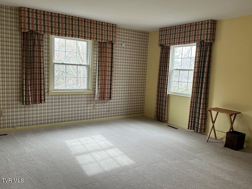 279 Alfalfa Field, Cedar Bluff, Virginia image 24
