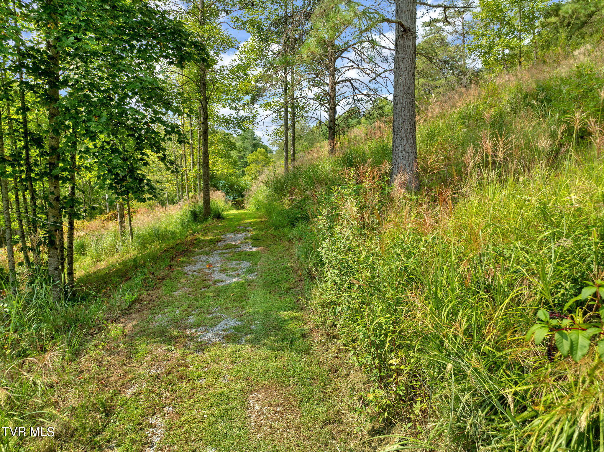 370 Speers Valley Road, Duffield, Virginia image 43