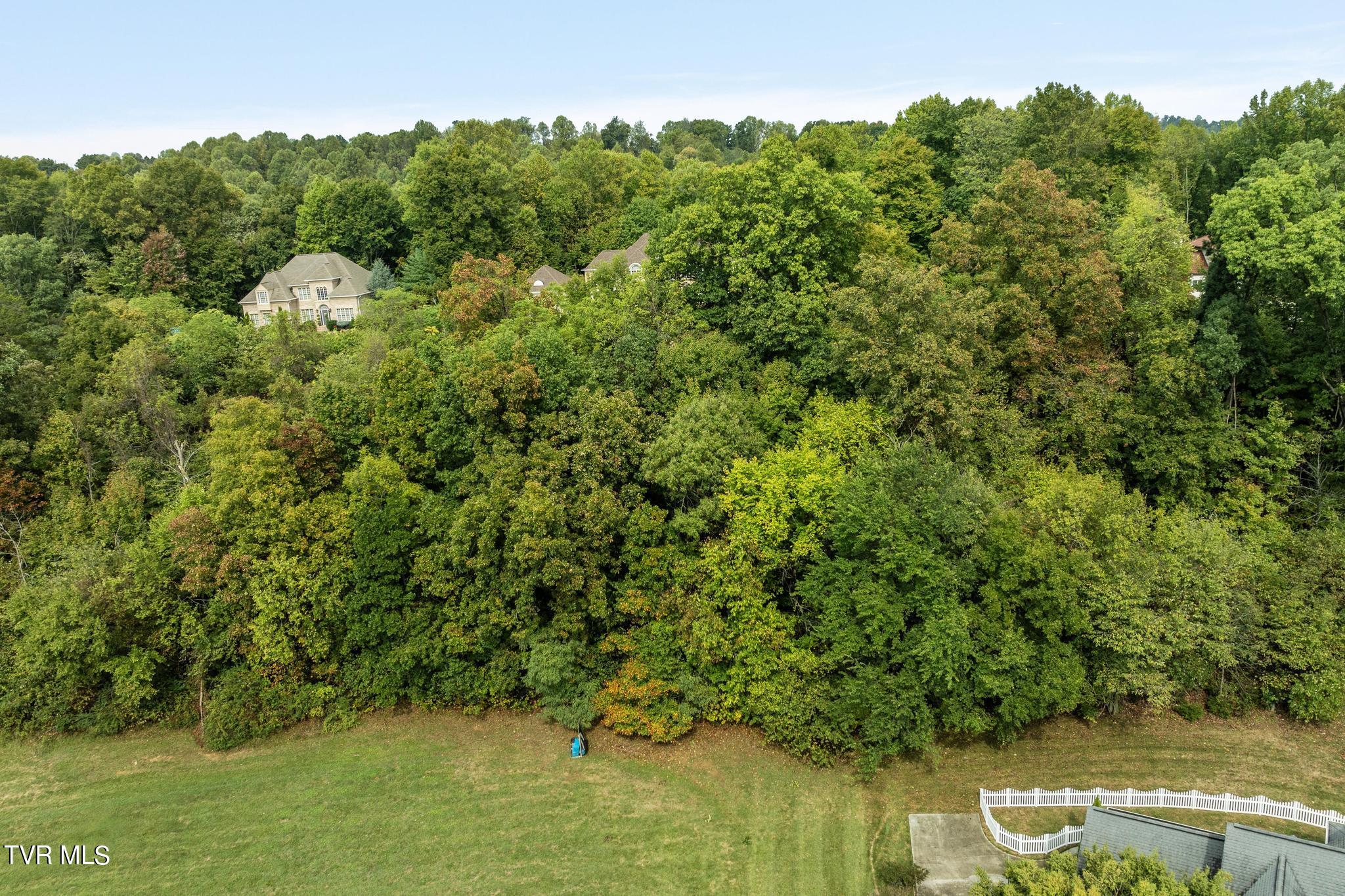 Lot 91/92 Ridgetop Drive, Johnson City, Tennessee image 8
