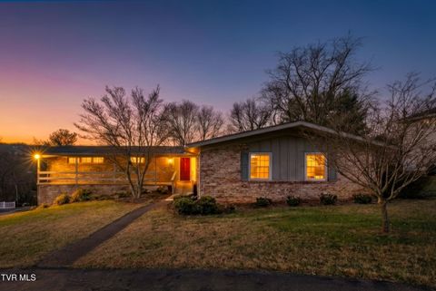 Photo of 2228 Charsley Road, Kingsport, TN 37660 (MLS # 9990548)