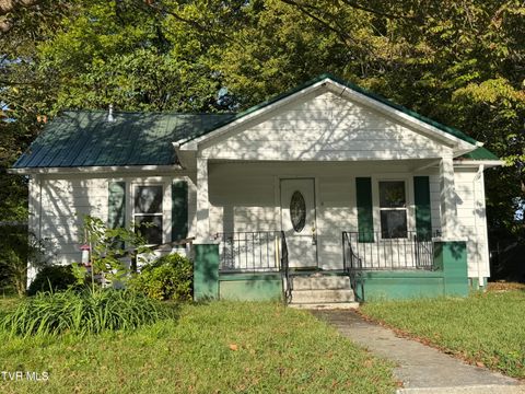 Tiny photo for 610 Hasson Street, Rogersville, TN 37857 (MLS # 9986367)