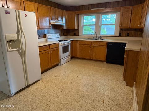 Tiny photo for 610 Hasson Street, Rogersville, TN 37857 (MLS # 9986367)