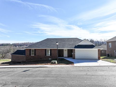 Photo of 124 Keeneland Circle, Greeneville, TN 37743 (MLS # 9988789)