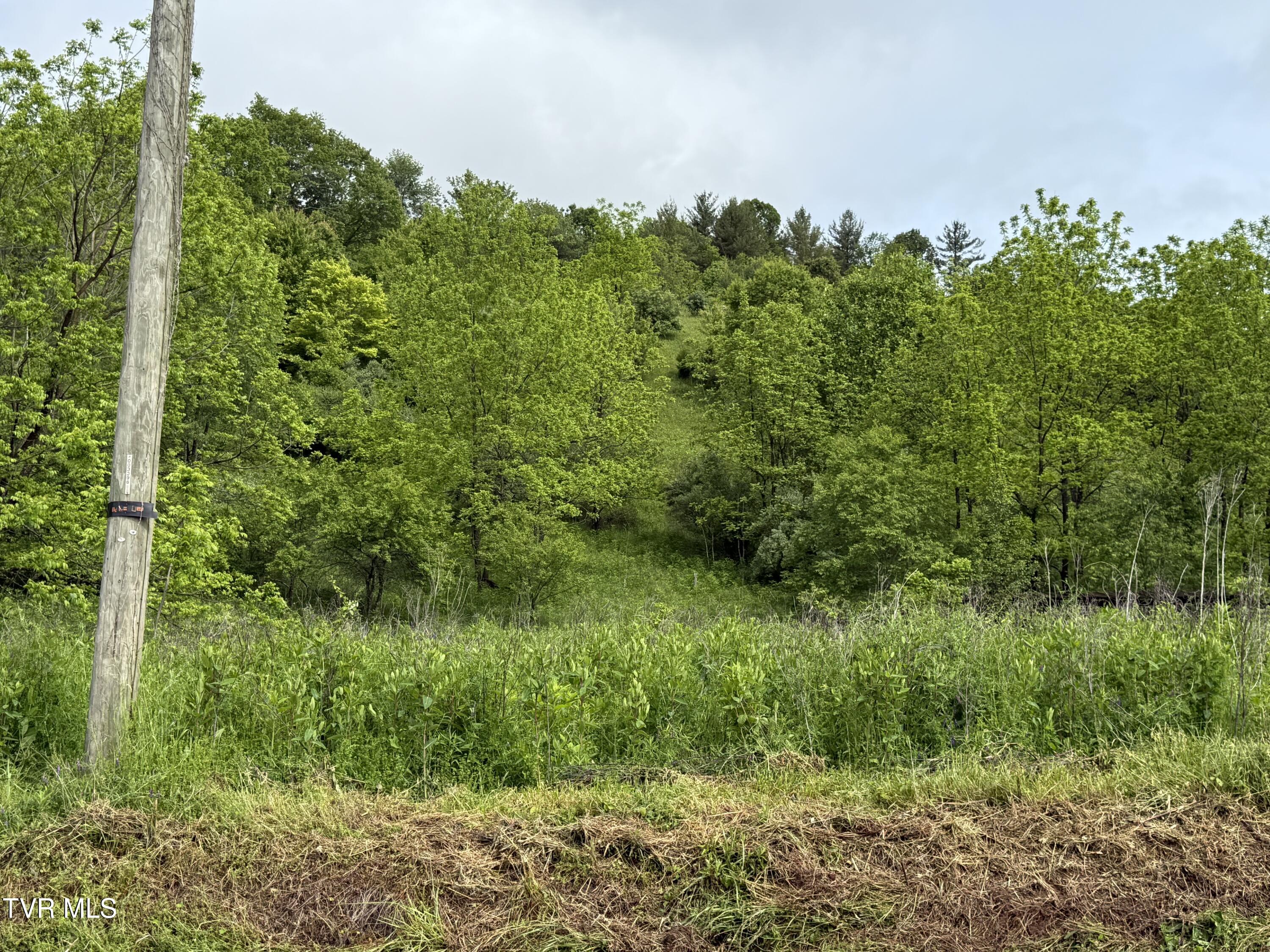 Tbd Johnson Hollow Road, Mountain City, Tennessee image 1