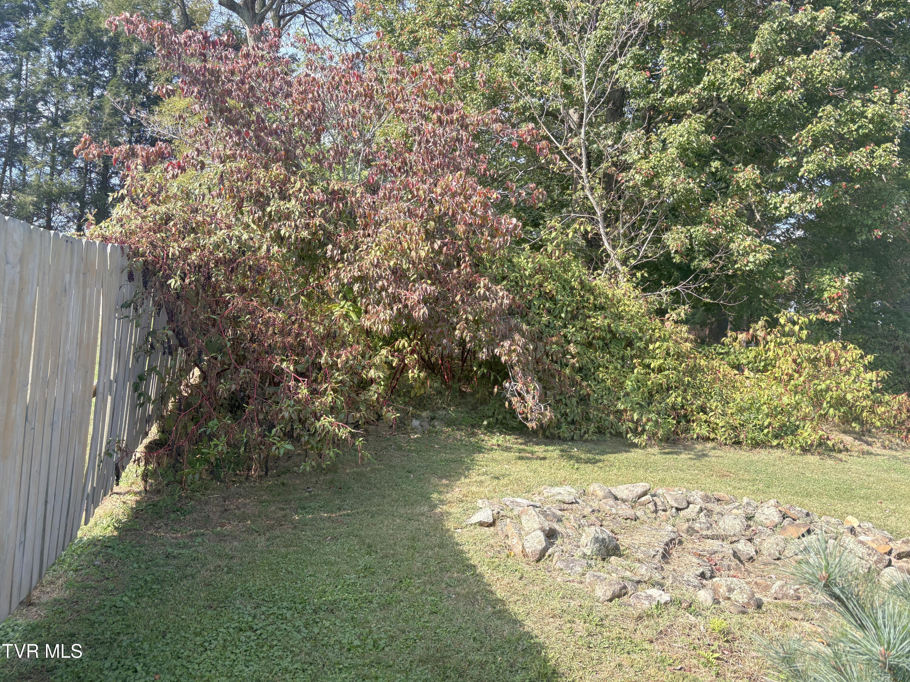 217 Sprinkle Avenue