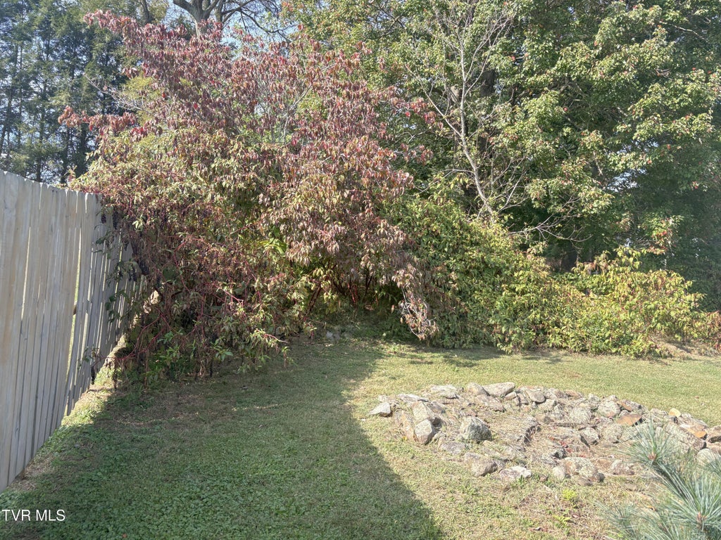 Photo of 217 Sprinkle Avenue, Marion, VA 24354 (MLS # 10002519)