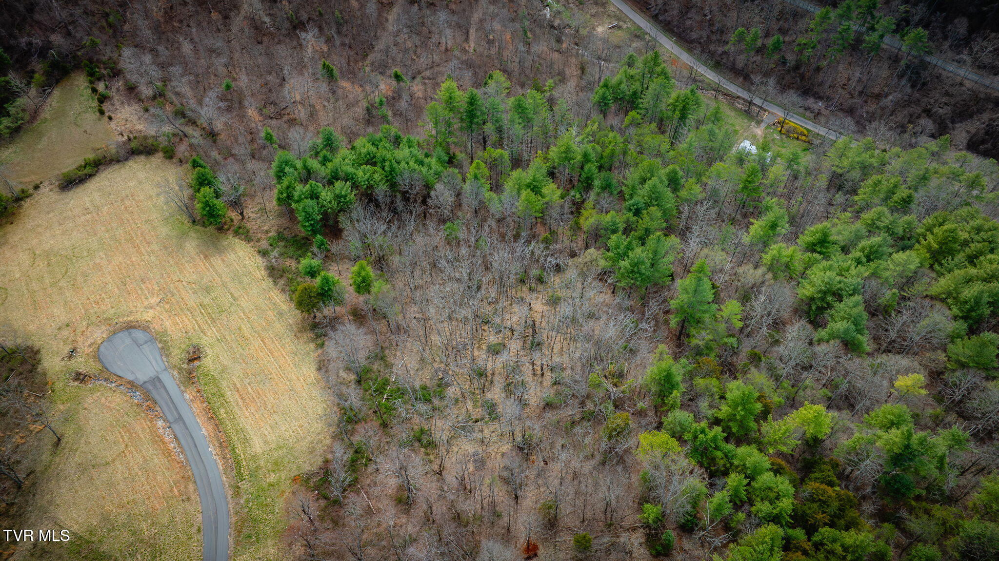 Lot 38 Cowan Town Road, Butler, Tennessee image 11
