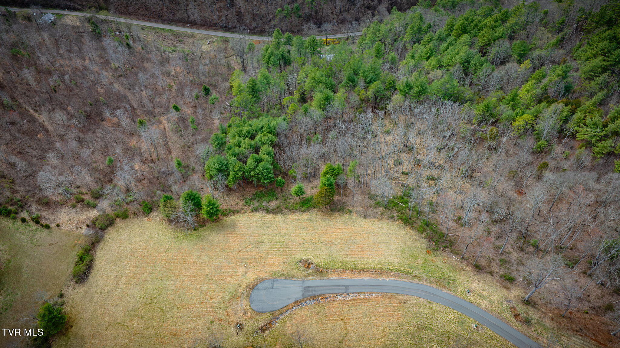Lot 38 Cowan Town Road, Butler, Tennessee image 6