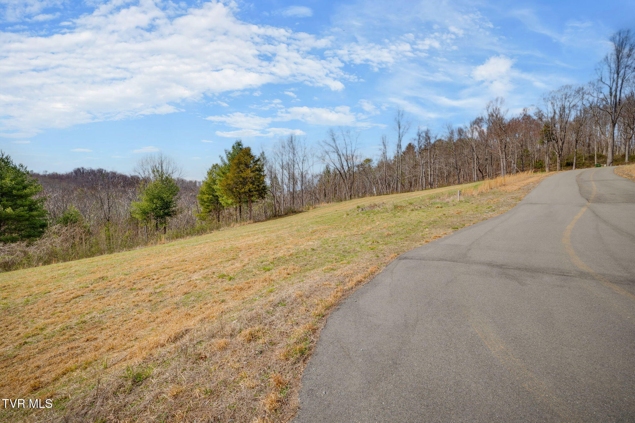 Lot 38 Cowan Town Road, Butler, Tennessee image 2