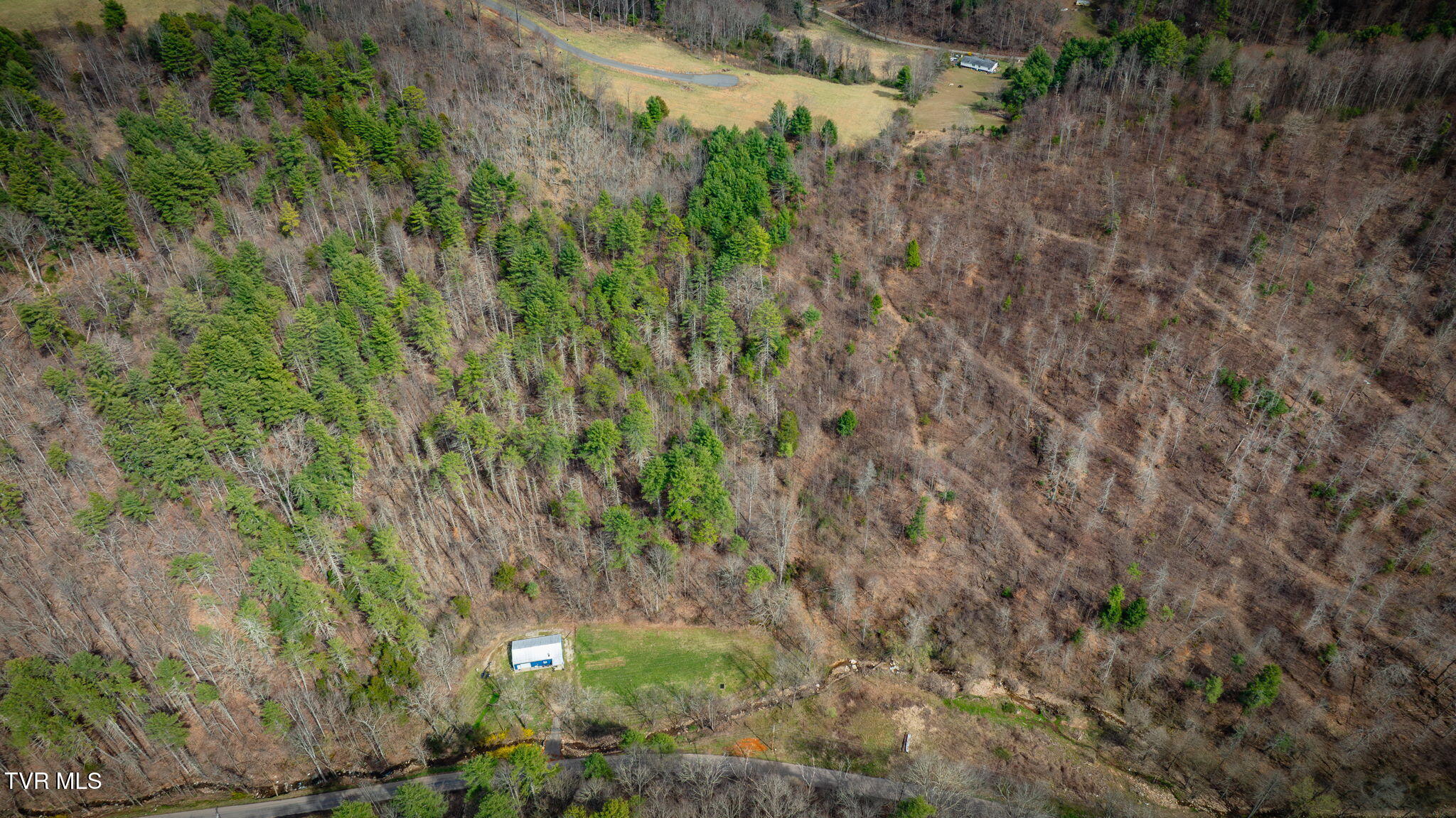 Lot 38 Cowan Town Road, Butler, Tennessee image 9