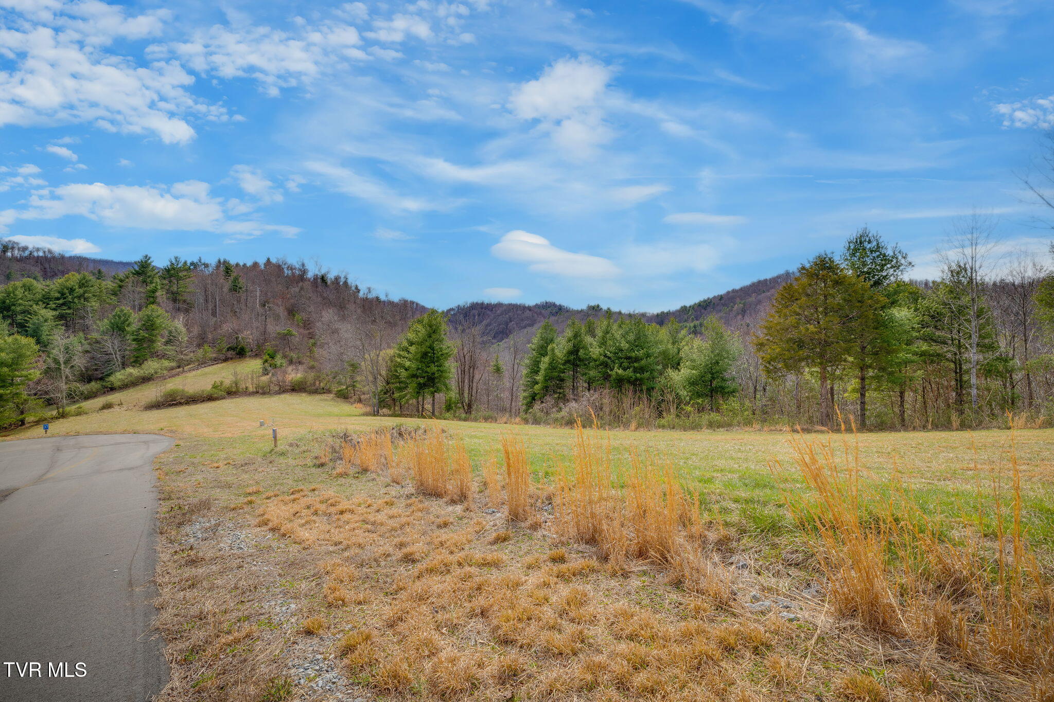 Lot 38 Cowan Town Road, Butler, Tennessee image 5