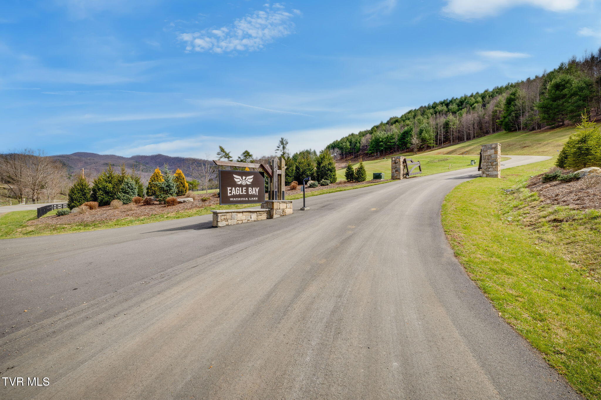 Lot 38 Cowan Town Road, Butler, Tennessee image 1
