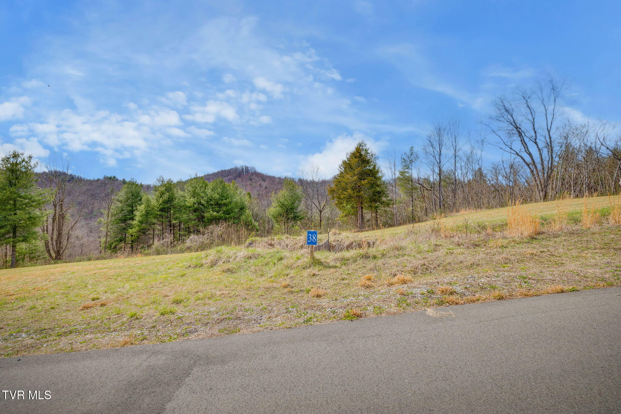 Lot 38 Cowan Town Road, Butler, Tennessee image 3
