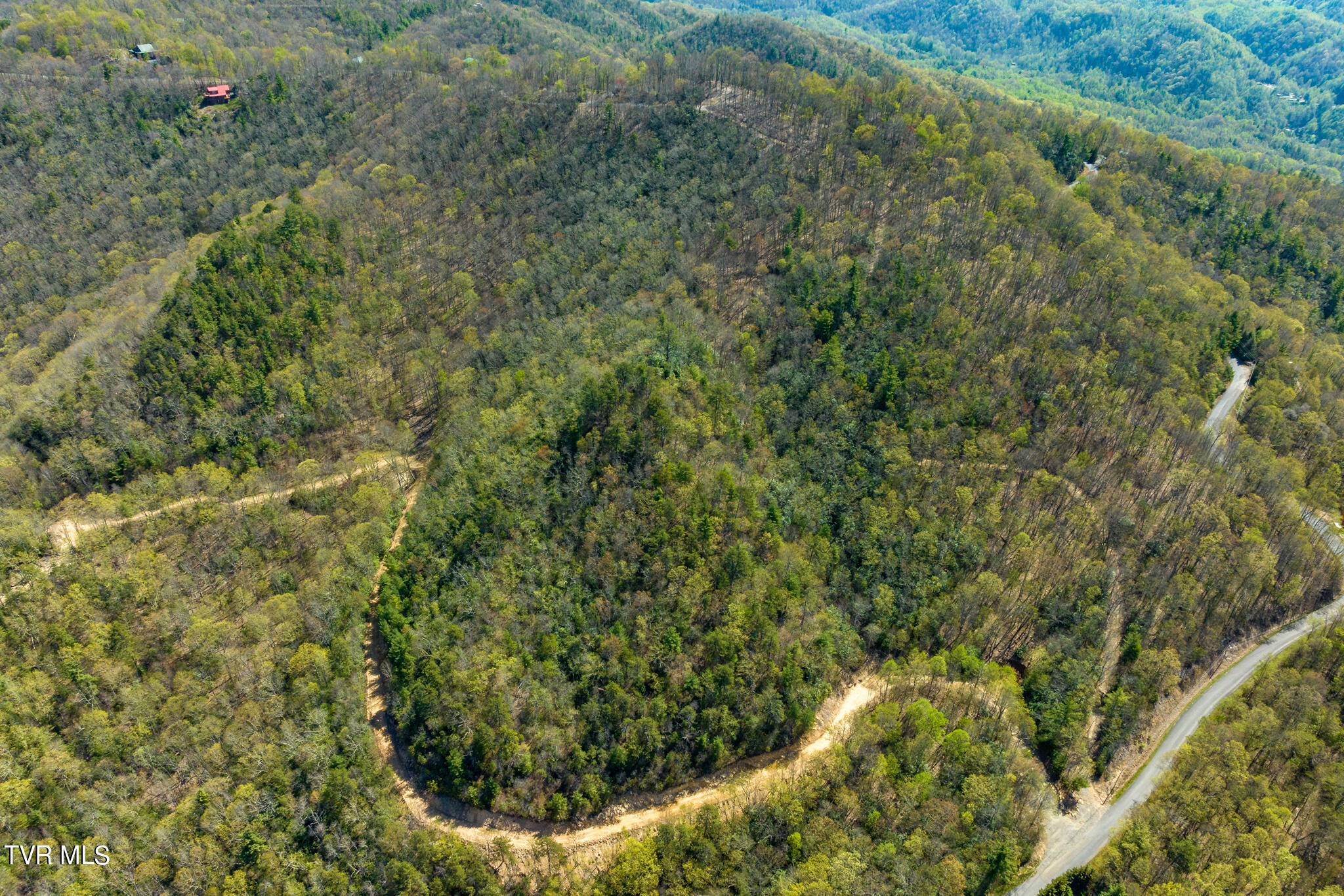 Tbd Callalantee Drive, Mountain City, Tennessee image 33