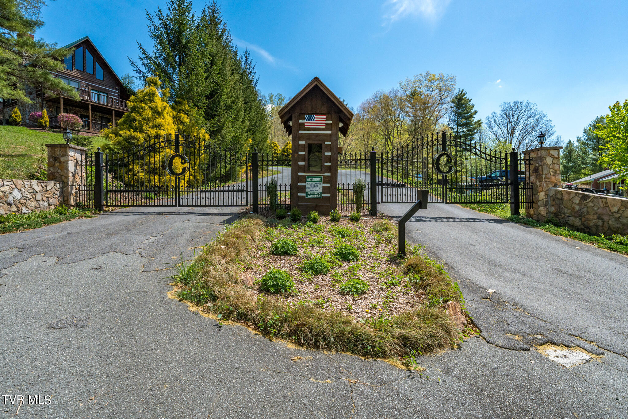 Tbd Callalantee Drive, Mountain City, Tennessee image 9