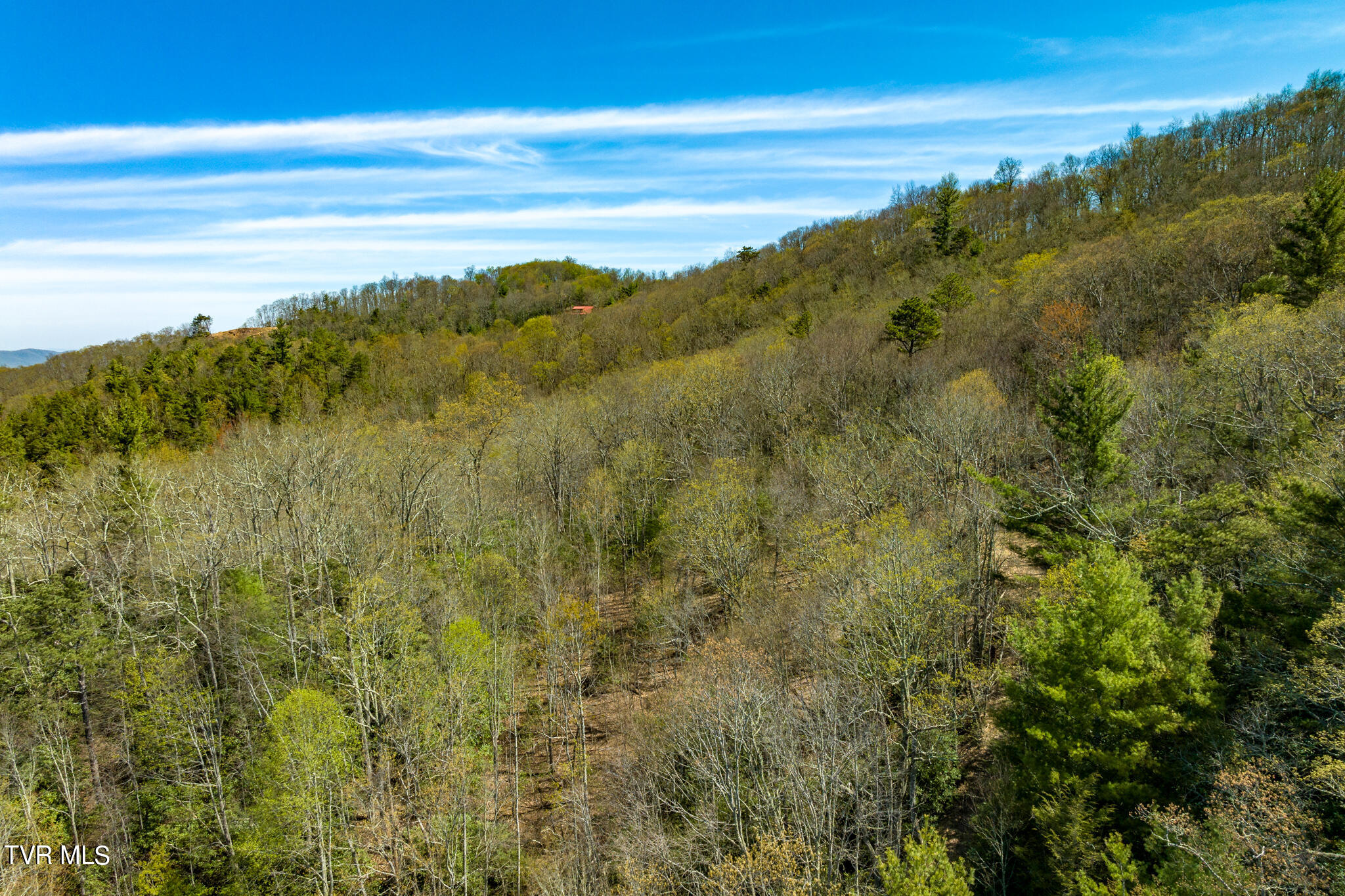 Tbd Callalantee Drive, Mountain City, Tennessee image 41