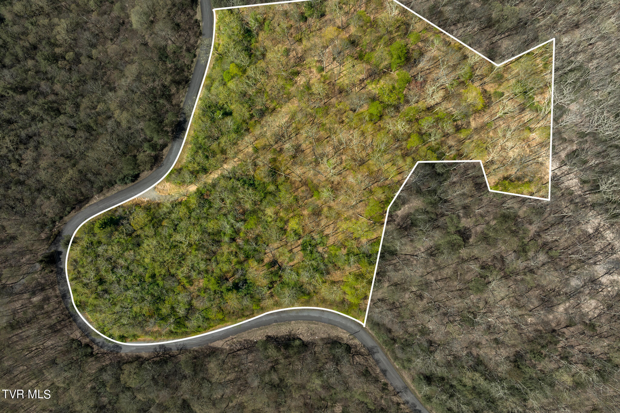 Tbd Callalantee Drive, Mountain City, Tennessee image 50