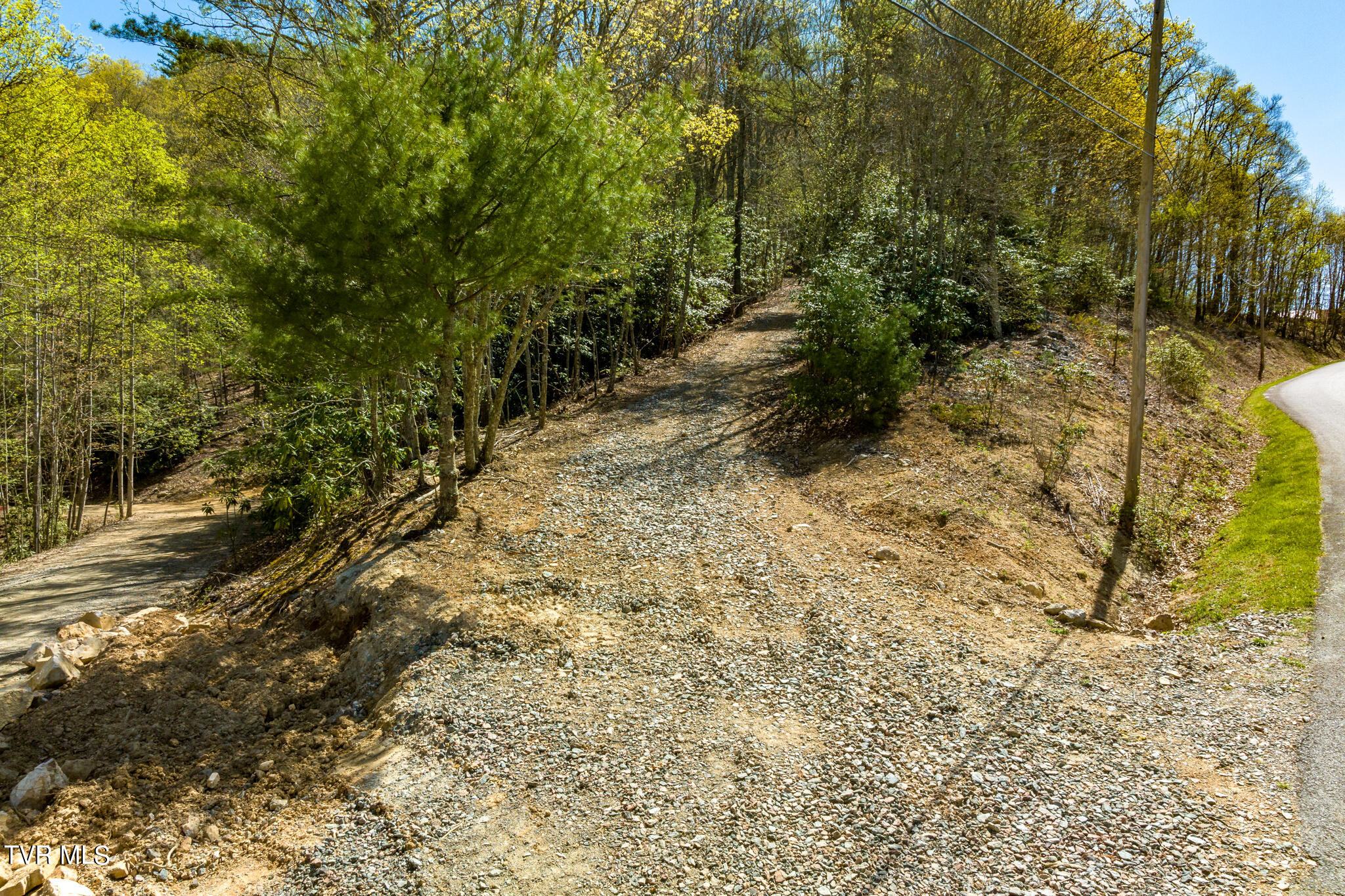 Tbd Callalantee Drive, Mountain City, Tennessee image 25