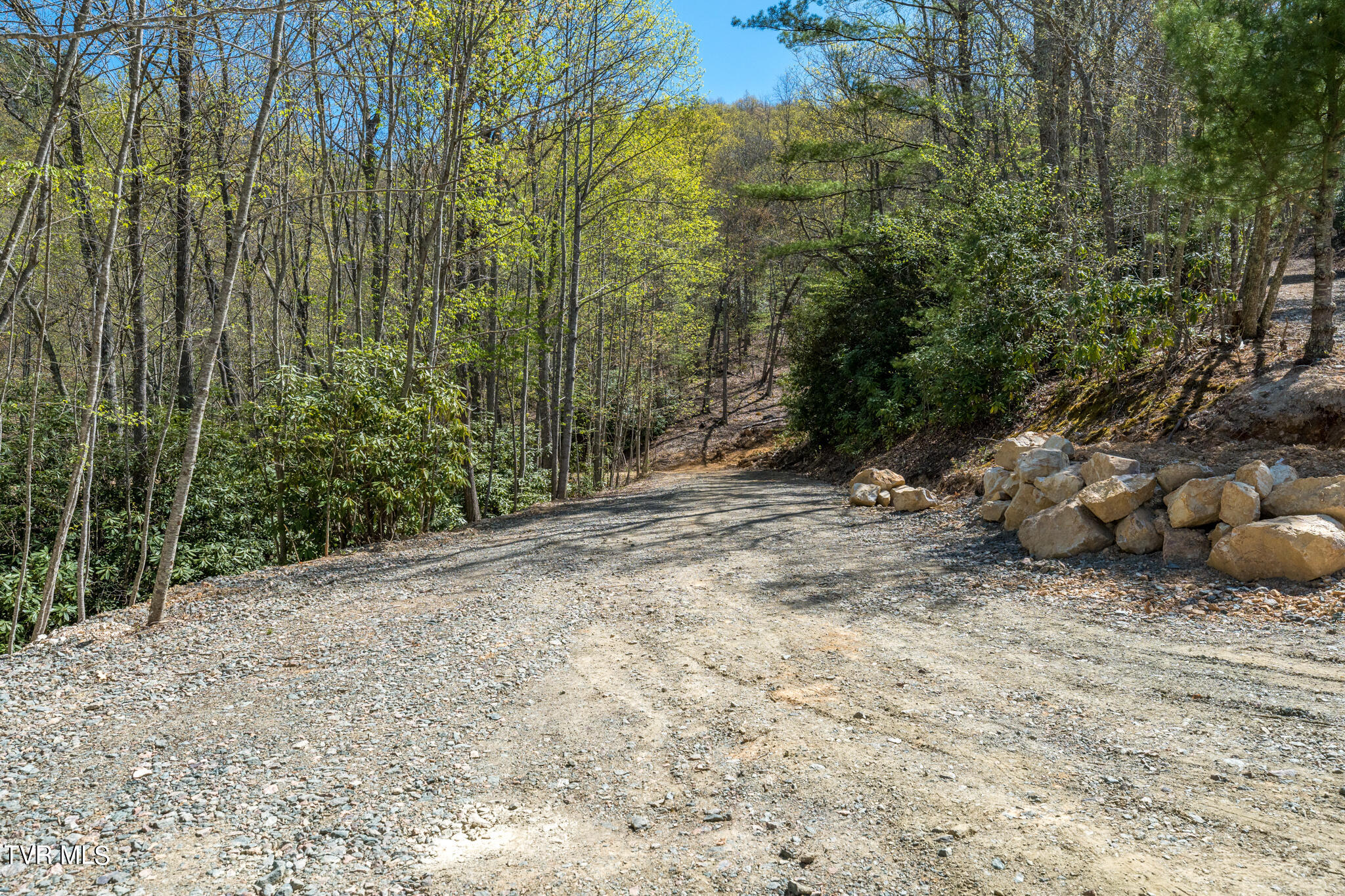 Tbd Callalantee Drive, Mountain City, Tennessee image 20