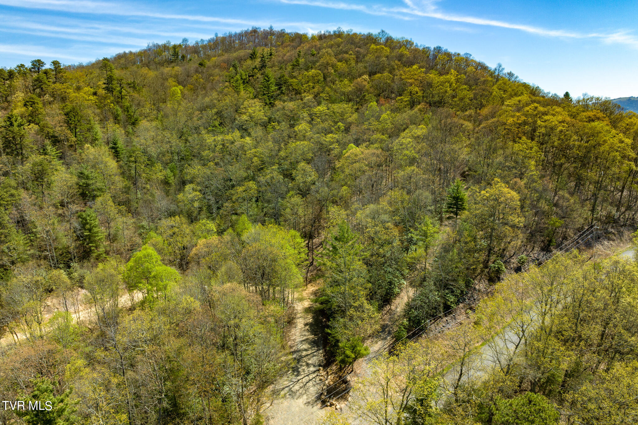Tbd Callalantee Drive, Mountain City, Tennessee image 19