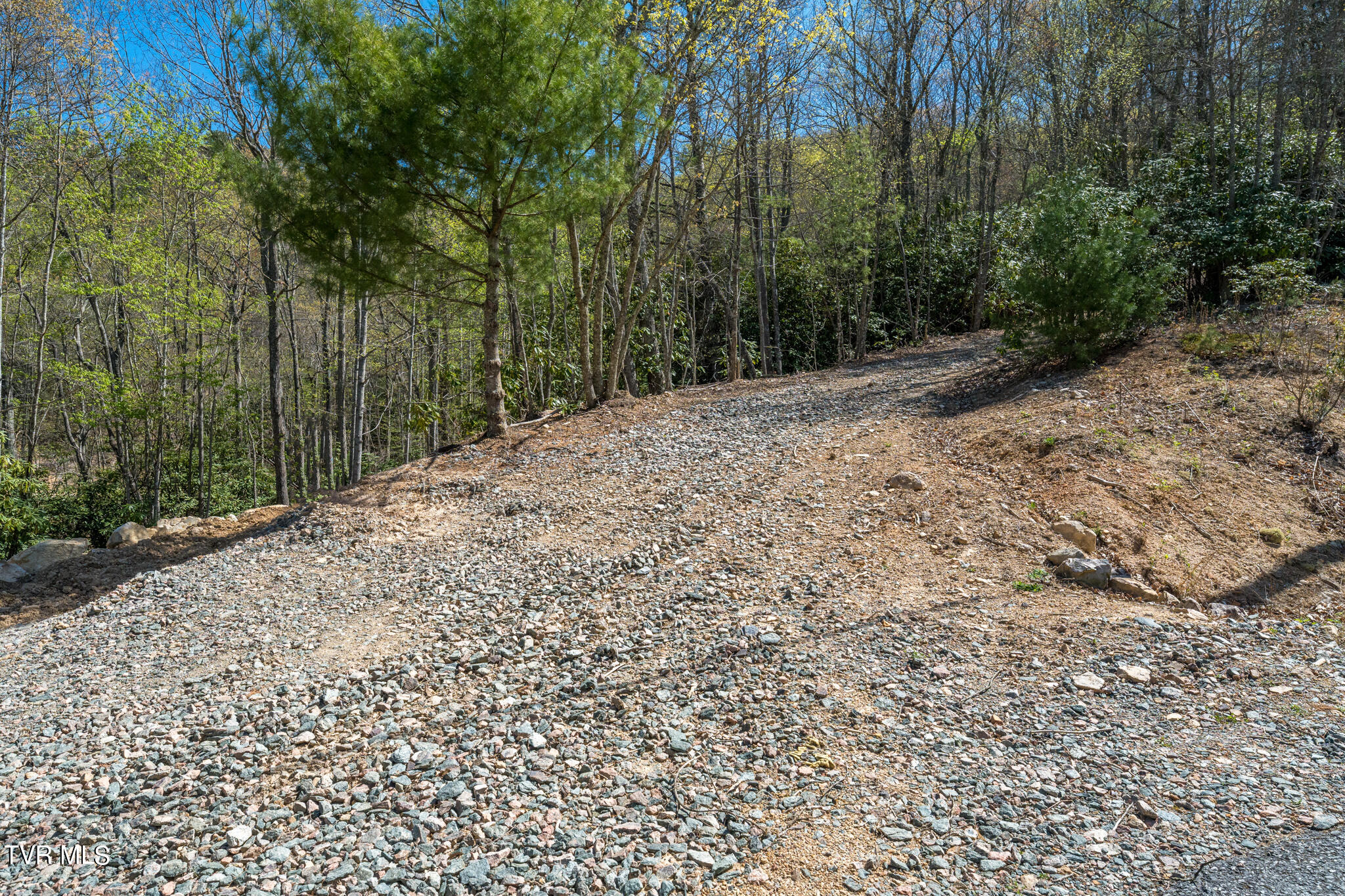 Tbd Callalantee Drive, Mountain City, Tennessee image 27