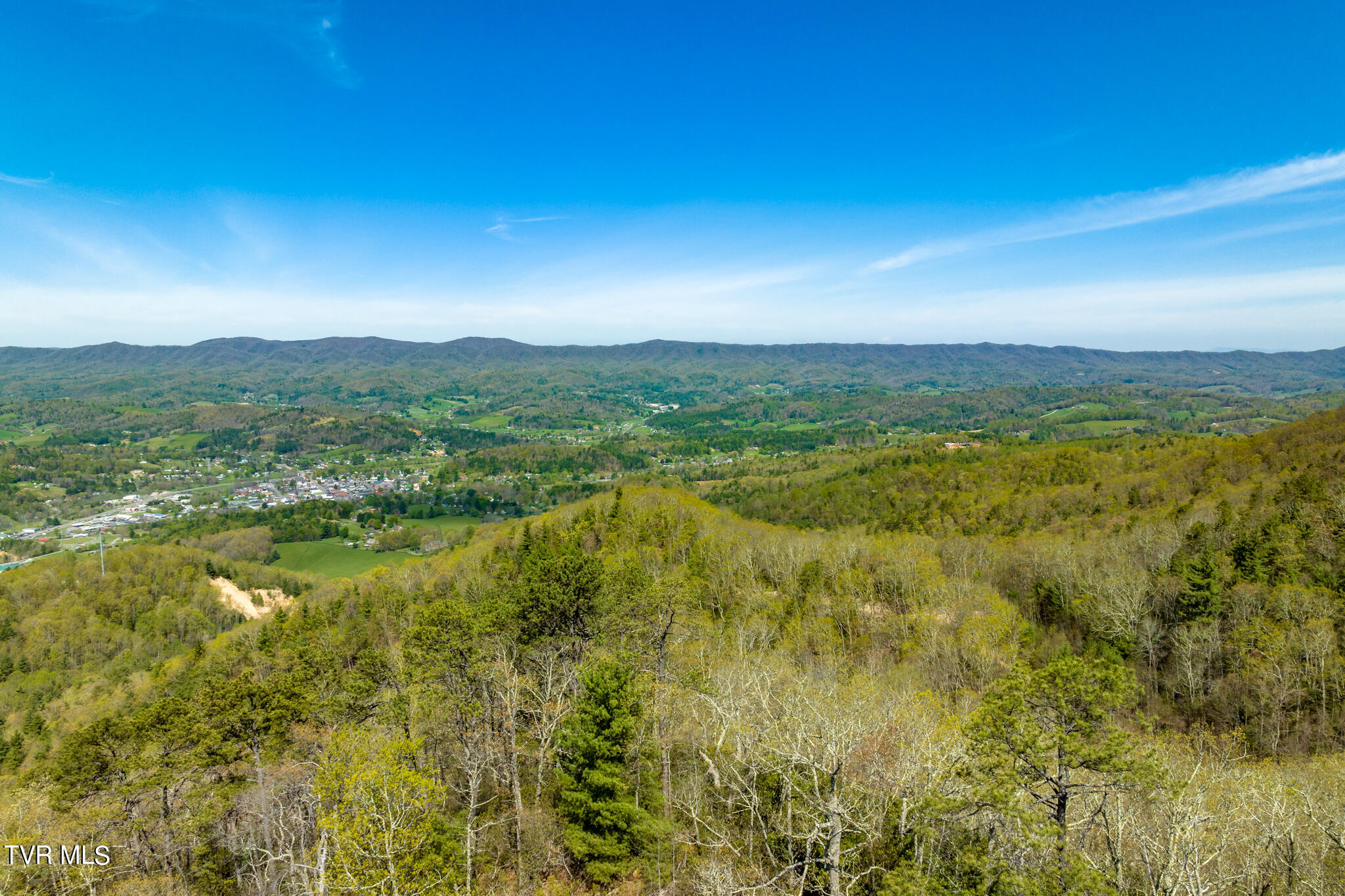 Tbd Callalantee Drive, Mountain City, Tennessee image 42