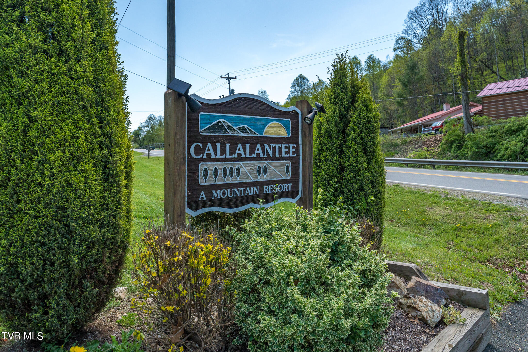 Tbd Callalantee Drive, Mountain City, Tennessee image 11