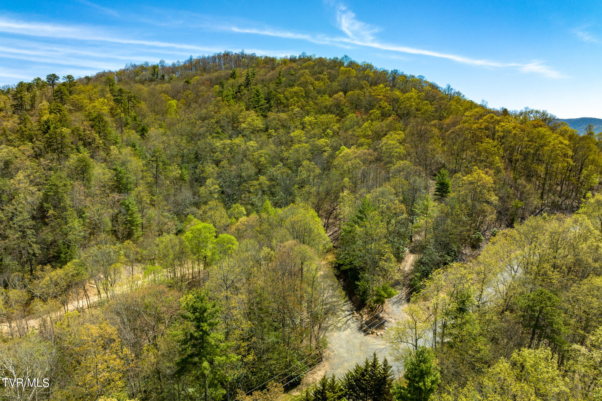 Tbd Callalantee Drive, Mountain City, Tennessee image 46