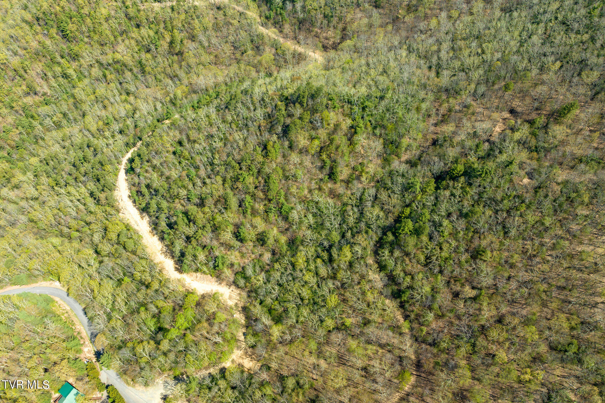 Tbd Callalantee Drive, Mountain City, Tennessee image 37