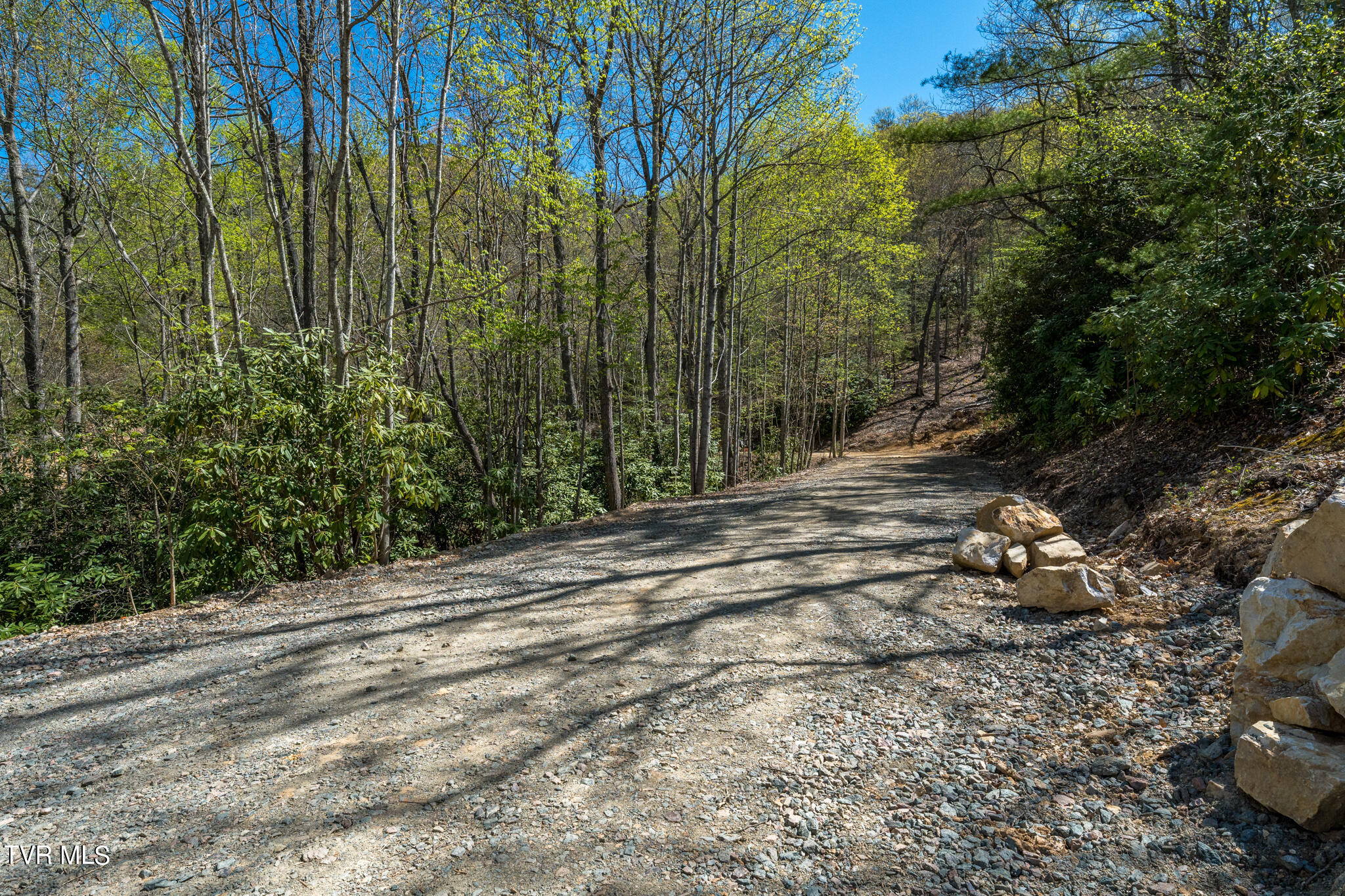 Tbd Callalantee Drive, Mountain City, Tennessee image 30