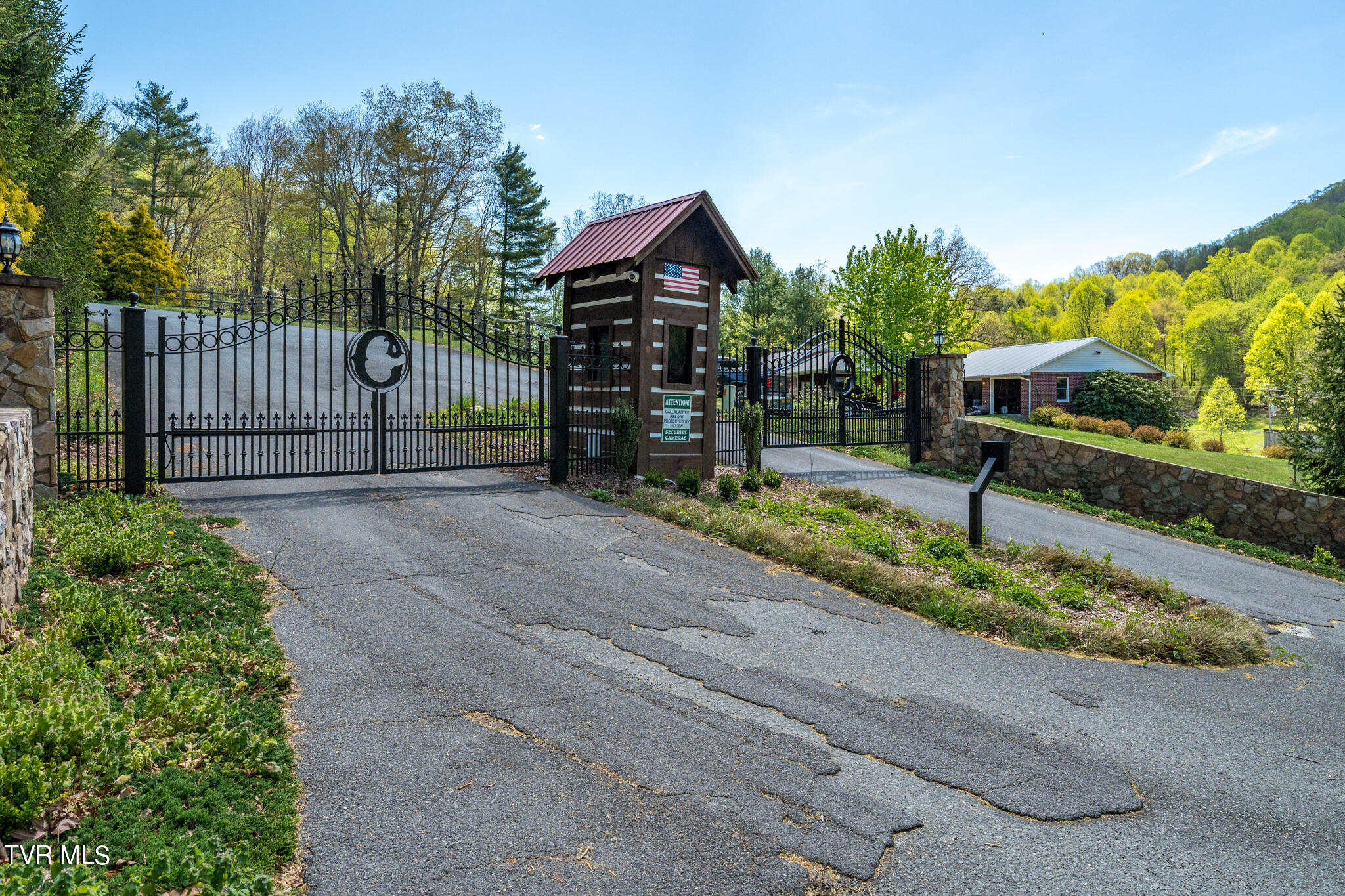 Tbd Callalantee Drive, Mountain City, Tennessee image 8