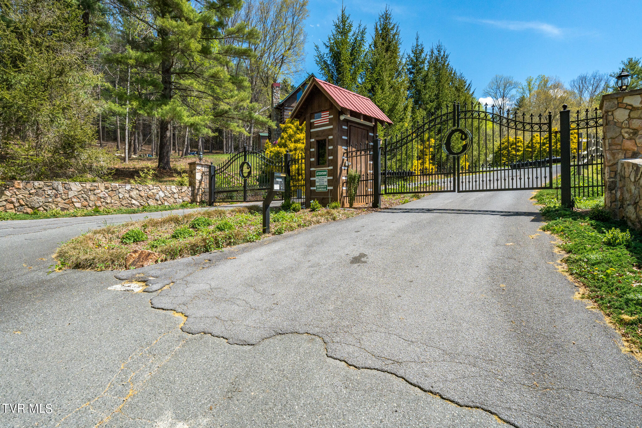 Tbd Callalantee Drive, Mountain City, Tennessee image 10