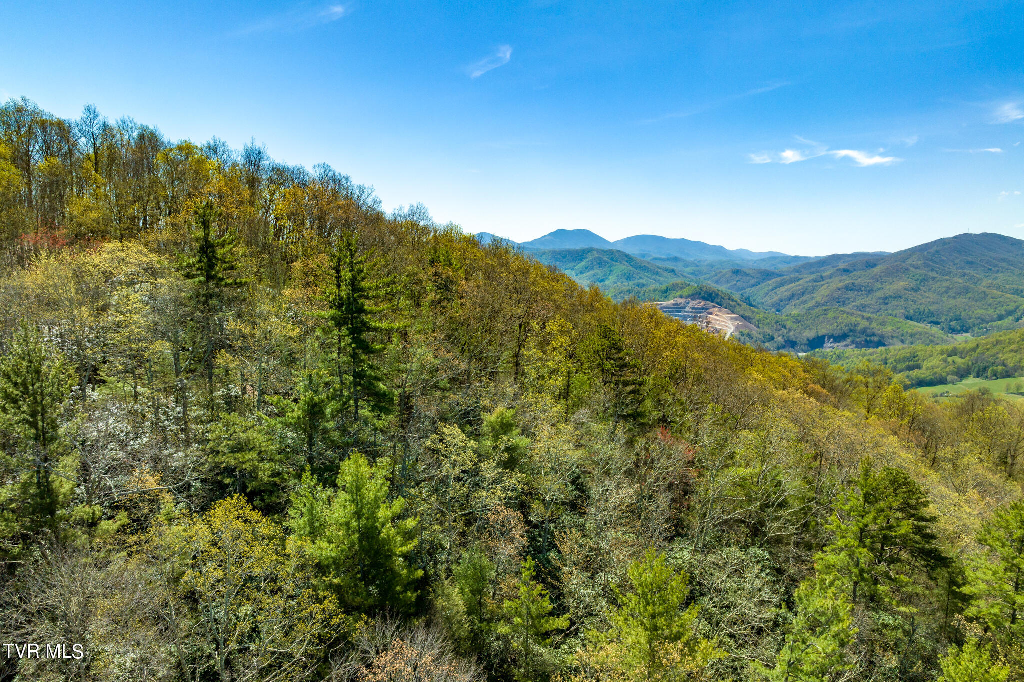 Tbd Callalantee Drive, Mountain City, Tennessee image 18