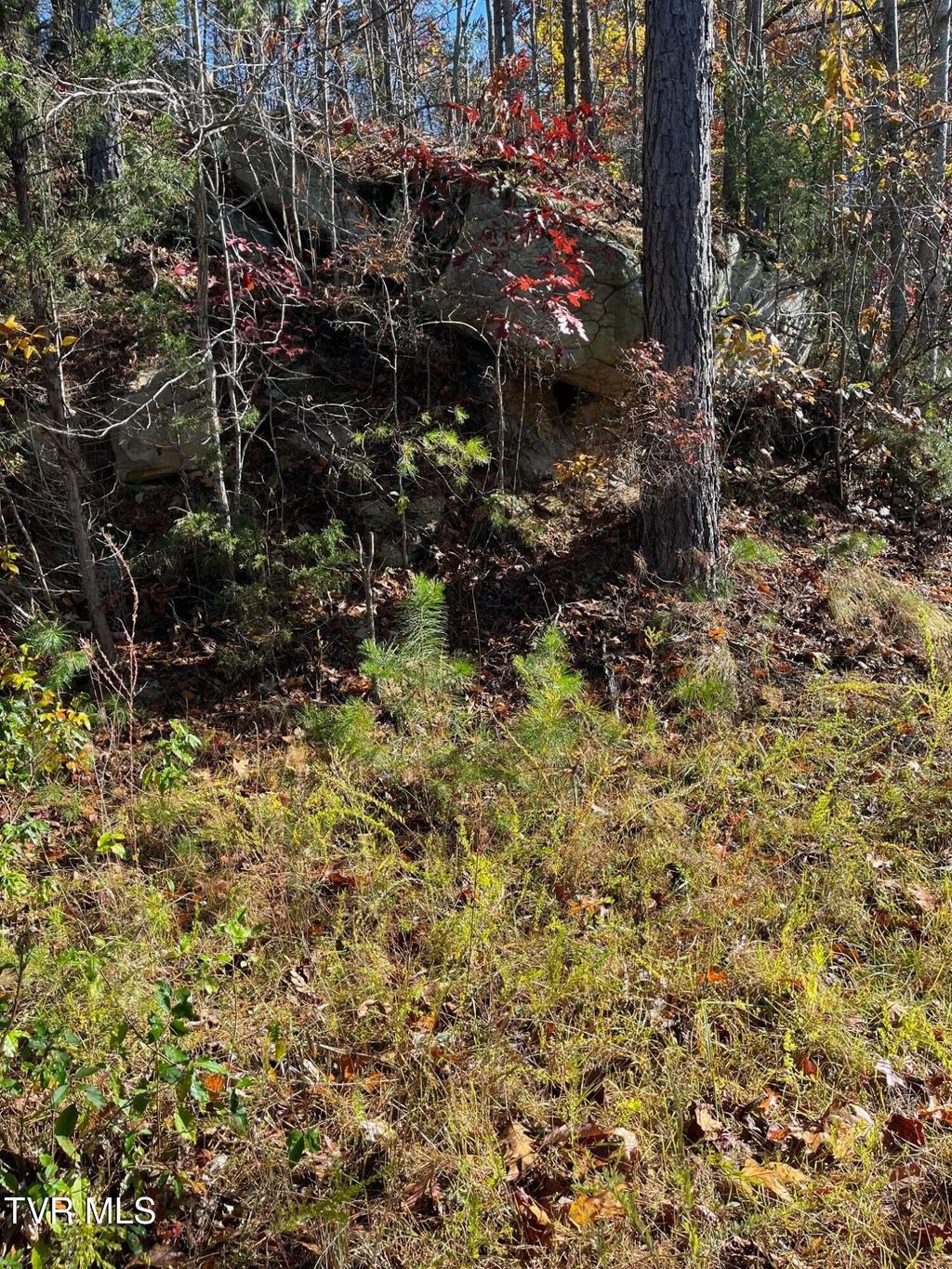 Photo of Tbd Big Ridge Road, Haysi, VA 24256 (MLS # 9987824)