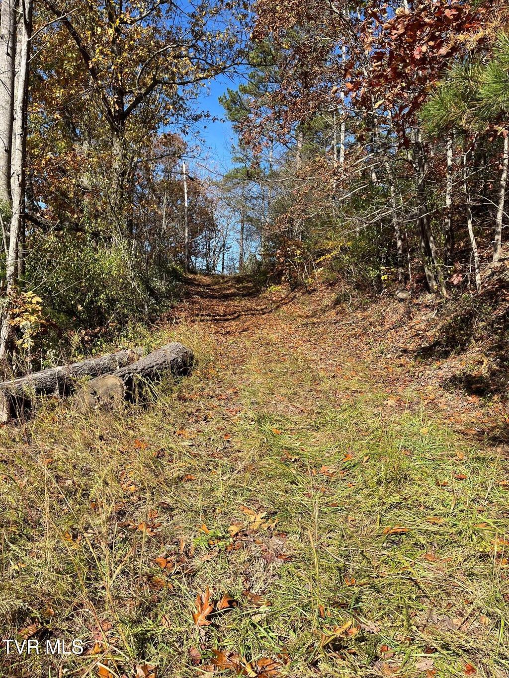 Photo of Tbd Big Ridge Road, Haysi, VA 24256 (MLS # 9987824)