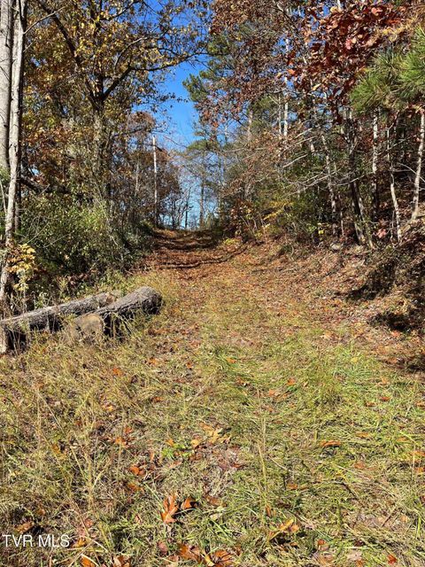 Vacant Land For Sale - TBD Big Ridge Road<br/> Dickenson County, Haysi, VA 24256