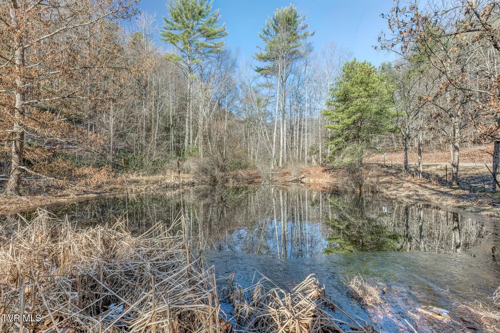 Photo of 469 Moreland Drive, Butler, TN 37640 (MLS # 9991019)