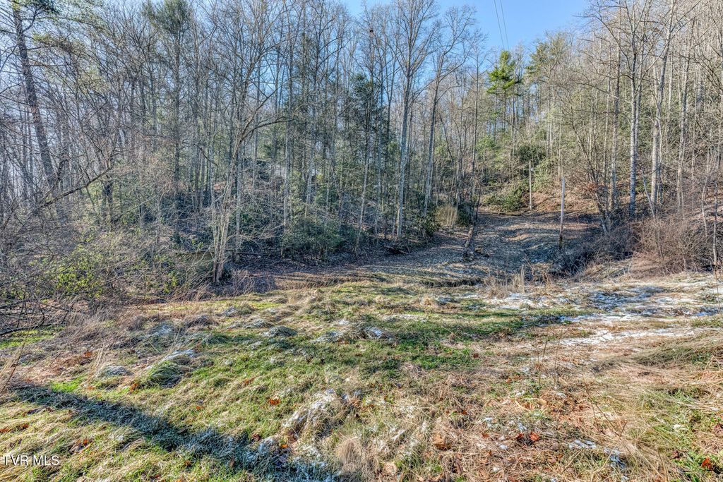 Photo of 469 Moreland Drive, Butler, TN 37640 (MLS # 9991019)
