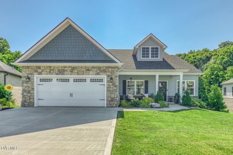 Homes For Sale - 593 Gardenia Drive<br/> Washington County, Johnson City, TN 37615