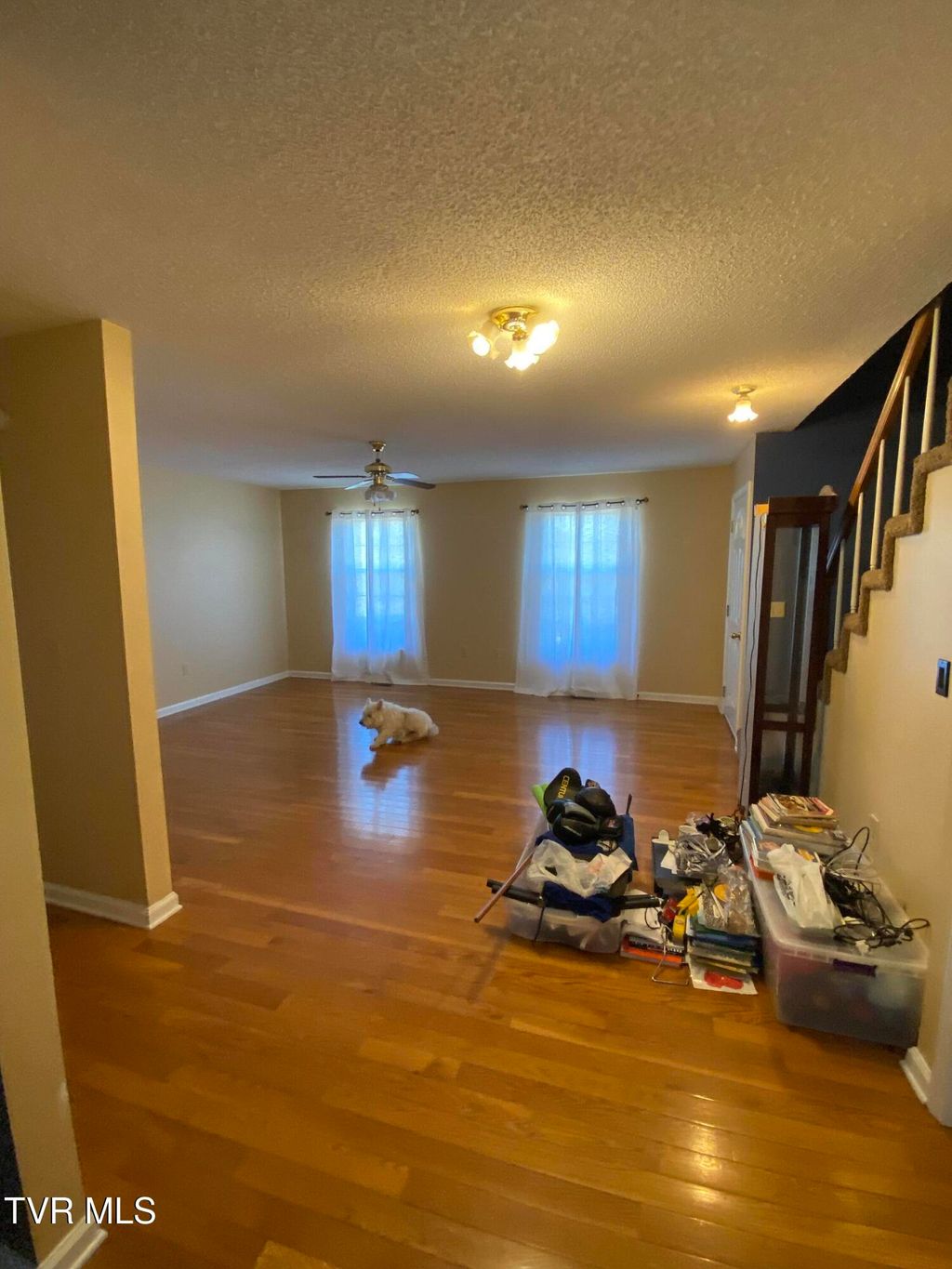 Photo of 101 Village Lane, Gray, TN 37615 (MLS # 9987328)