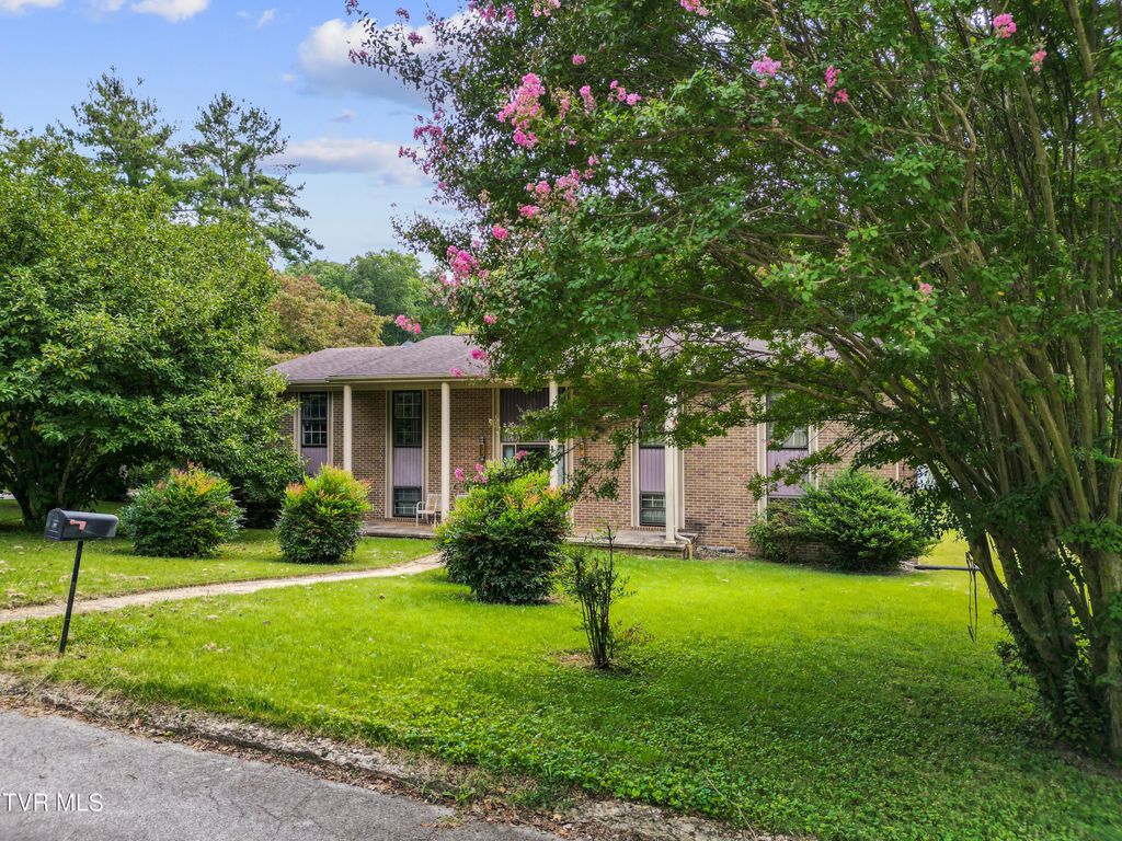 Photo of 1510 Sun Valley Drive, Greeneville, TN 37745 (MLS # 9988537)