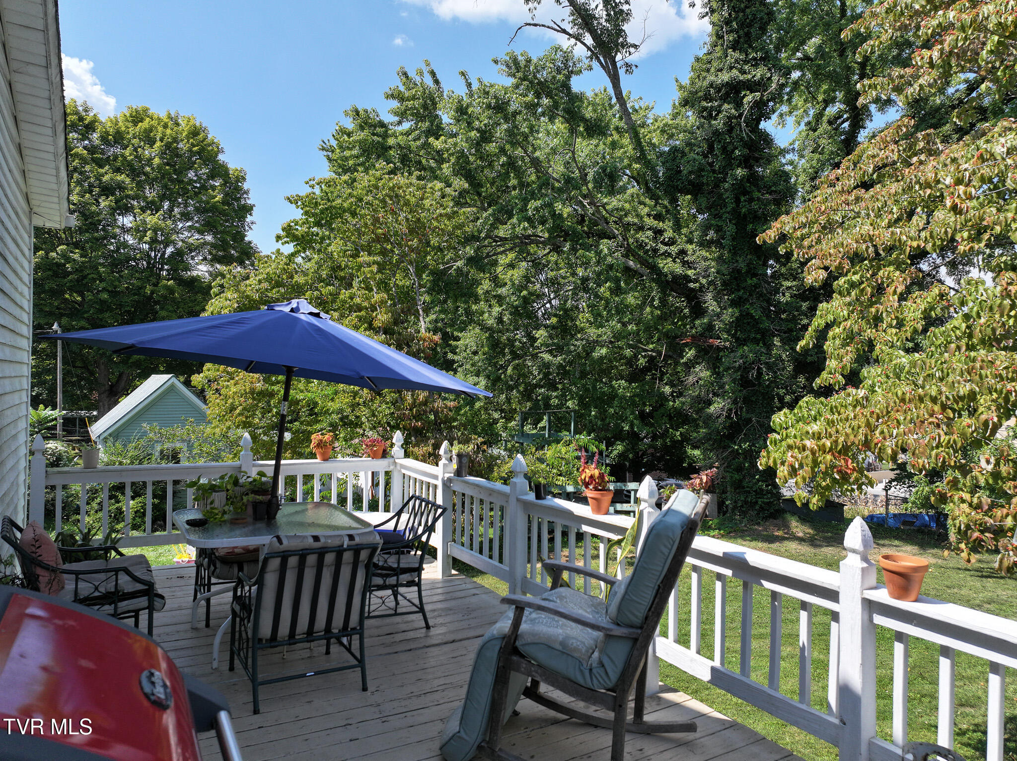 402 Irish Street, Greeneville, Tennessee image 5