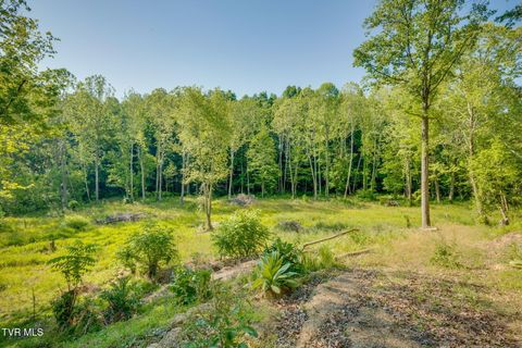 Photo of 993 Highway 75, Blountville, TN 37617 (MLS # 9995630)