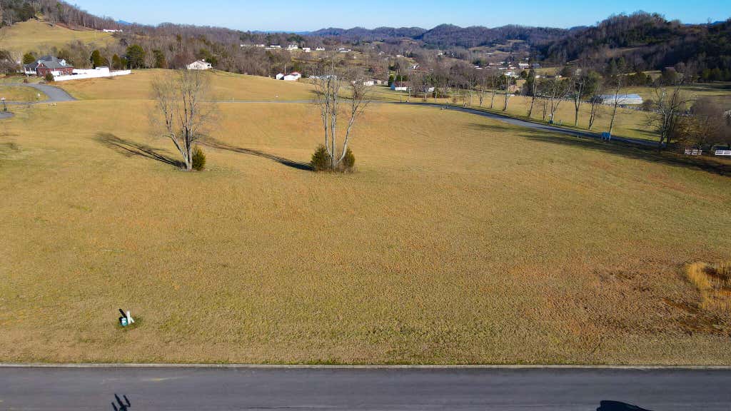 Photo of 52 Walnut Grove Drive, Church Hill, TN 37642 (MLS # 9997116)