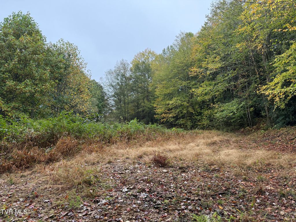 Photo of 0 Clarktown Road, Roan Mountain, TN 37687 (MLS # 9986666)