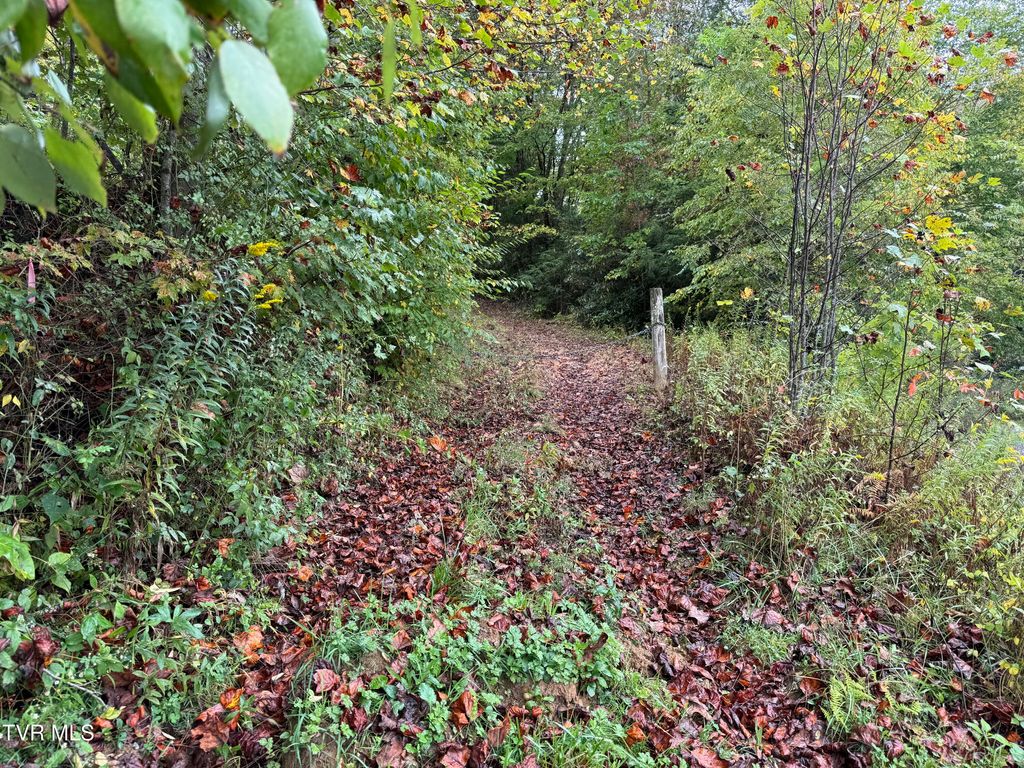 Photo of 0 Clarktown Road, Roan Mountain, TN 37687 (MLS # 9986666)